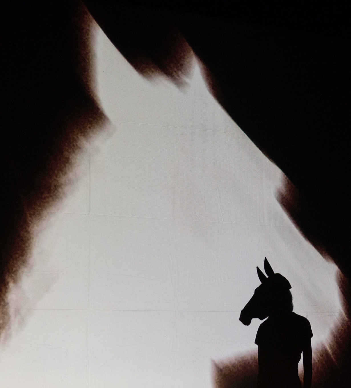CHEVAL, OU L’HISTOIRE D’UN ROI MOCHE (HYPER MOCHE)